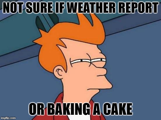 Futurama Fry Meme | NOT SURE IF WEATHER REPORT OR BAKING A CAKE | image tagged in memes,futurama fry | made w/ Imgflip meme maker