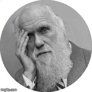 Darwin Facepalm | q | image tagged in darwin facepalm | made w/ Imgflip meme maker