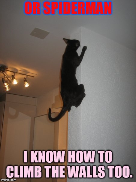 OR SPIDERMAN I KNOW HOW TO CLIMB THE WALLS TOO. | made w/ Imgflip meme maker