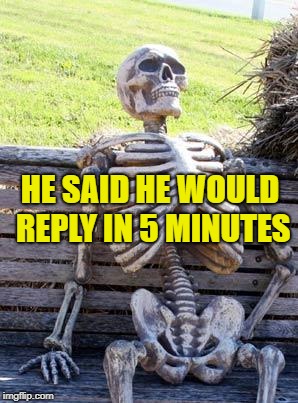 Waiting Skeleton Meme | HE SAID HE WOULD REPLY IN 5 MINUTES | image tagged in memes,waiting skeleton | made w/ Imgflip meme maker
