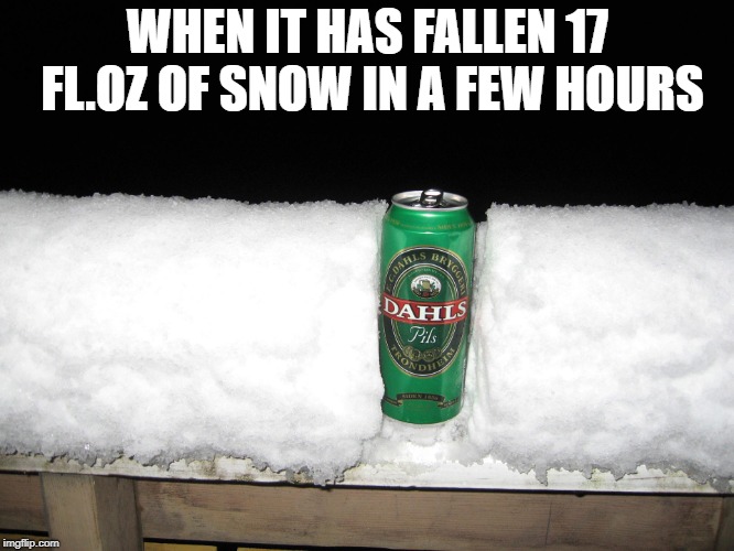 WHEN IT HAS FALLEN 17 FL.OZ OF SNOW IN A FEW HOURS | image tagged in snow beer | made w/ Imgflip meme maker