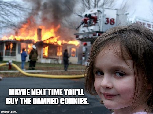 Disaster Girl | MAYBE NEXT TIME YOU'LL BUY THE DAMNED COOKIES. | image tagged in memes,disaster girl | made w/ Imgflip meme maker