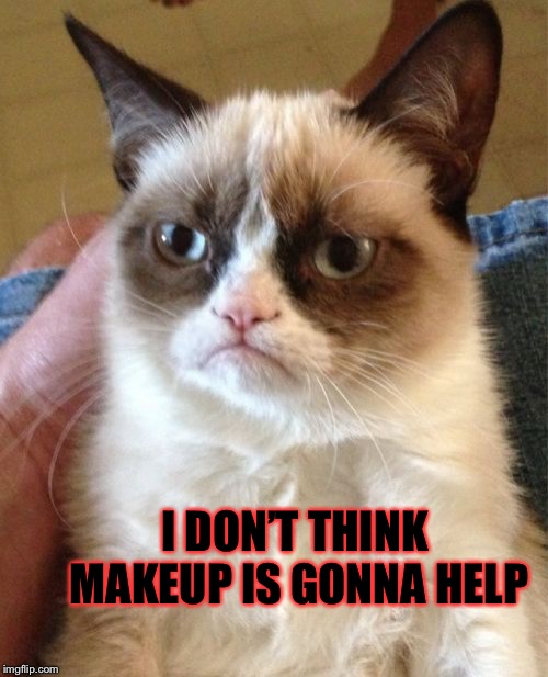 Grumpy Cat Meme | I DON’T THINK MAKEUP IS GONNA HELP | image tagged in memes,grumpy cat | made w/ Imgflip meme maker