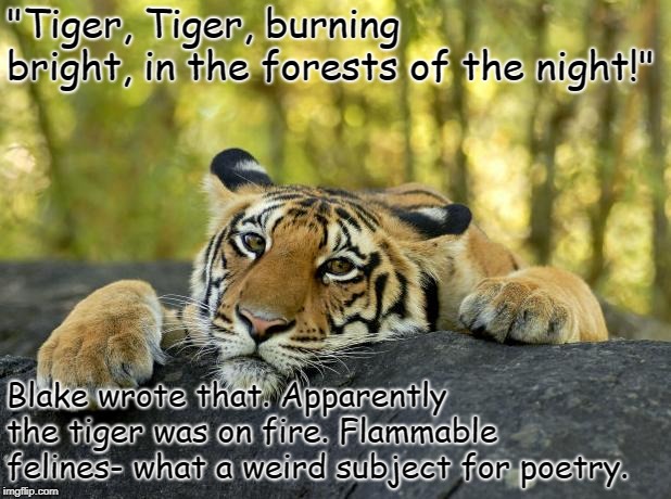 Hey, you can't argue with poetry! | "Tiger, Tiger, burning bright, in the forests of the night!"; Blake wrote that. Apparently the tiger was on fire. Flammable felines- what a weird subject for poetry. | image tagged in confession tiger,memes,funny,latest,funny memes | made w/ Imgflip meme maker