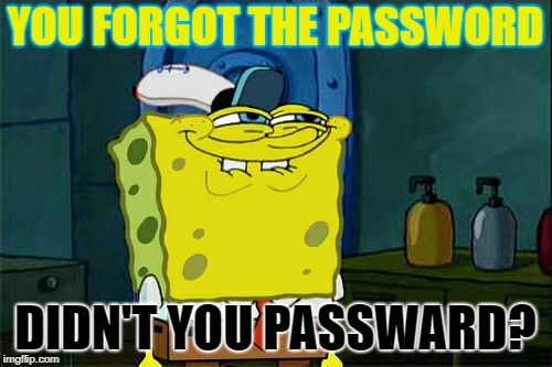 Don't You Squidward Meme | YOU FORGOT THE PASSWORD DIDN'T YOU PASSWARD? | image tagged in memes,dont you squidward | made w/ Imgflip meme maker