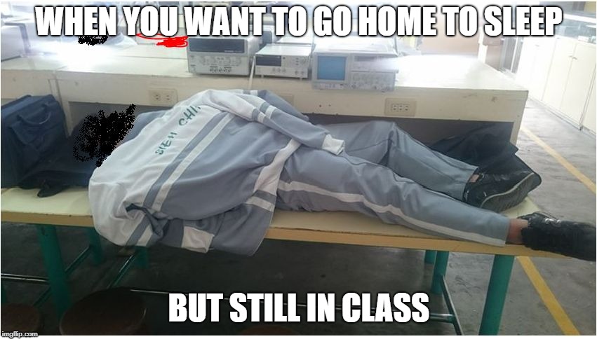 Sleeping during class | WHEN YOU WANT TO GO HOME TO SLEEP; BUT STILL IN CLASS | image tagged in sleeping during class | made w/ Imgflip meme maker