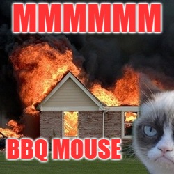 Disaster Grumpy Cat | MMMMMM BBQ MOUSE | image tagged in disaster grumpy cat | made w/ Imgflip meme maker