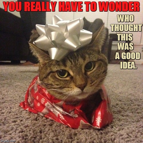 All Wrapped Up | WHO THOUGHT THIS    WAS     A GOOD    IDEA. YOU REALLY HAVE TO WONDER | image tagged in memes,wrapping,kitten,christmas present,thinking,bad idea | made w/ Imgflip meme maker