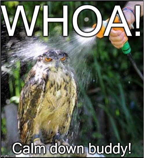 cool shower | WHOA! Calm down buddy! | image tagged in cool shower | made w/ Imgflip meme maker