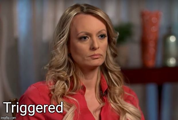 stormy daniels | Triggered | image tagged in stormy daniels | made w/ Imgflip meme maker