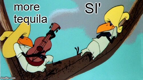 funny | more tequila SI' | image tagged in funny | made w/ Imgflip meme maker