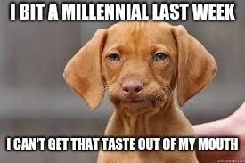 Keep your pets safe. | I BIT A MILLENNIAL LAST WEEK; I CAN'T GET THAT TASTE OUT OF MY MOUTH | image tagged in disappointed dog,millennials,keep your pets safe,don't bite millennials | made w/ Imgflip meme maker