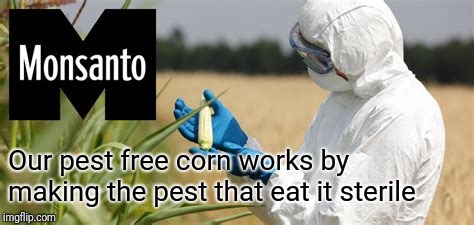 Our pest free corn works by making the pest that eat it sterile | made w/ Imgflip meme maker