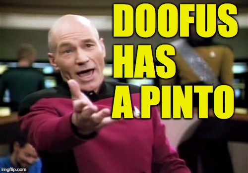Picard Wtf Meme | DOOFUS HAS A PINTO | image tagged in memes,picard wtf | made w/ Imgflip meme maker