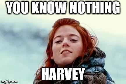 You know nothing |  YOU KNOW NOTHING; HARVEY | image tagged in you know nothing | made w/ Imgflip meme maker