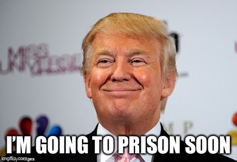 Donald trump approves | I’M GOING TO PRISON SOON | image tagged in donald trump approves | made w/ Imgflip meme maker