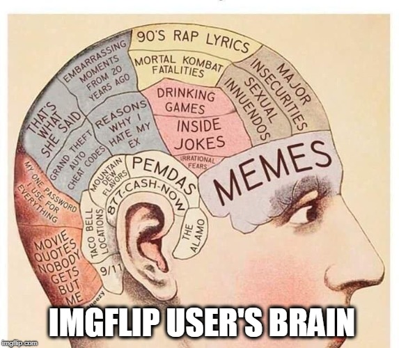 priorities  | IMGFLIP USER'S BRAIN | image tagged in imgflip user,memes,worthless,information,priorities | made w/ Imgflip meme maker