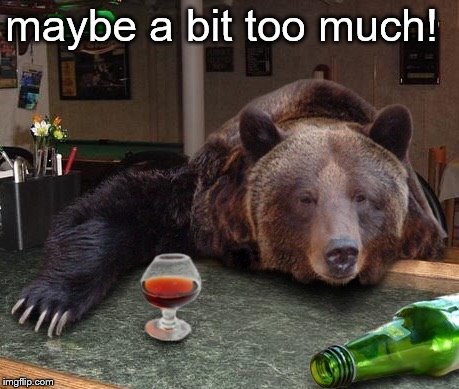 drunk bear | maybe a bit too much! | image tagged in drunk bear | made w/ Imgflip meme maker