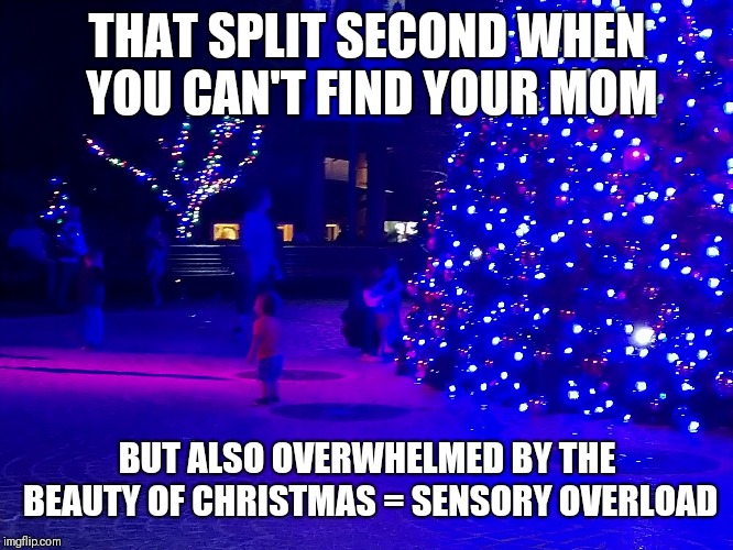 THAT SPLIT SECOND WHEN YOU CAN'T FIND YOUR MOM; BUT ALSO OVERWHELMED BY THE BEAUTY OF CHRISTMAS = SENSORY OVERLOAD | made w/ Imgflip meme maker