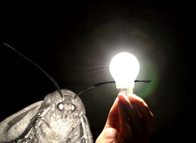 High Quality Moth To Light Blank Meme Template