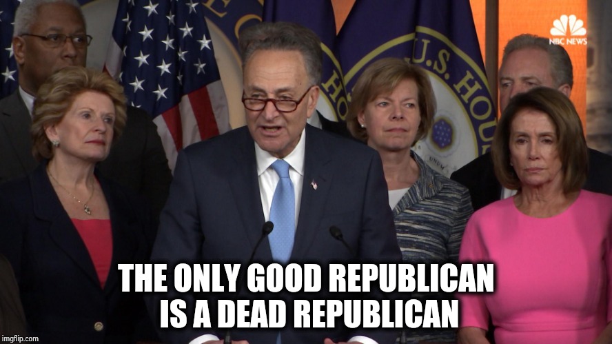 So , what you're saying is . . . ? | THE ONLY GOOD REPUBLICAN IS A DEAD REPUBLICAN | image tagged in partisanship,party of hate,rest in peace,constitution,socialism,i did nazi that coming | made w/ Imgflip meme maker