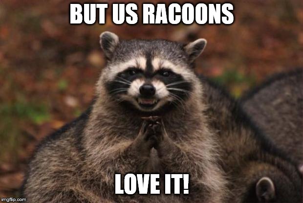 evil genius racoon | BUT US RACOONS LOVE IT! | image tagged in evil genius racoon | made w/ Imgflip meme maker