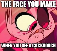 Scared Angel | THE FACE YOU MAKE; WHEN YOU SEE A COCKROACH | image tagged in angel dust,hazbin hotel | made w/ Imgflip meme maker