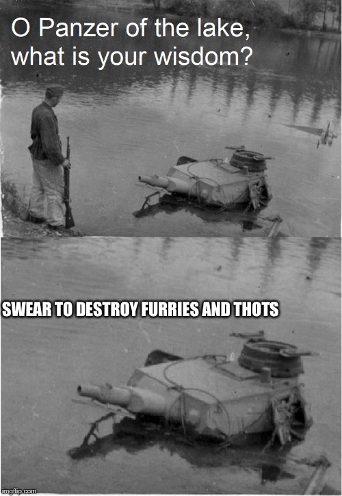 The draft be waiting | SWEAR TO DESTROY FURRIES AND THOTS | image tagged in panzer of the lake wisdom,memes,thots,furries | made w/ Imgflip meme maker