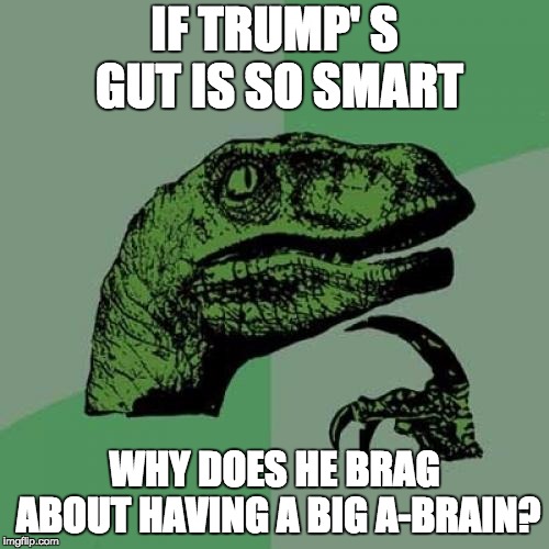 Turnips big gut | IF TRUMP' S GUT IS SO SMART; WHY DOES HE BRAG ABOUT HAVING A BIG A-BRAIN? | image tagged in memes,philosoraptor,trump,smart guy,donald trump is an idiot | made w/ Imgflip meme maker