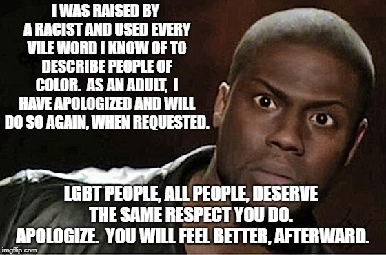 Kevin Hart | I WAS RAISED BY A RACIST AND USED EVERY VILE WORD I KNOW OF TO DESCRIBE PEOPLE OF COLOR.  AS AN ADULT,  I HAVE APOLOGIZED AND WILL DO SO AGAIN, WHEN REQUESTED. LGBT PEOPLE, ALL PEOPLE, DESERVE THE SAME RESPECT YOU DO.  APOLOGIZE.  YOU WILL FEEL BETTER, AFTERWARD. | image tagged in memes,kevin hart | made w/ Imgflip meme maker