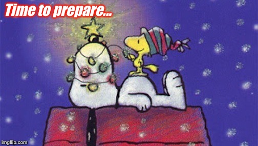 xmas in july snoopy | Time to prepare... | image tagged in xmas in july snoopy | made w/ Imgflip meme maker