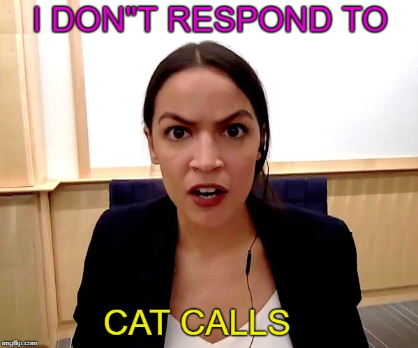 Alexandria Ocasio-Cortez | I DON"T RESPOND TO CAT CALLS | image tagged in alexandria ocasio-cortez | made w/ Imgflip meme maker
