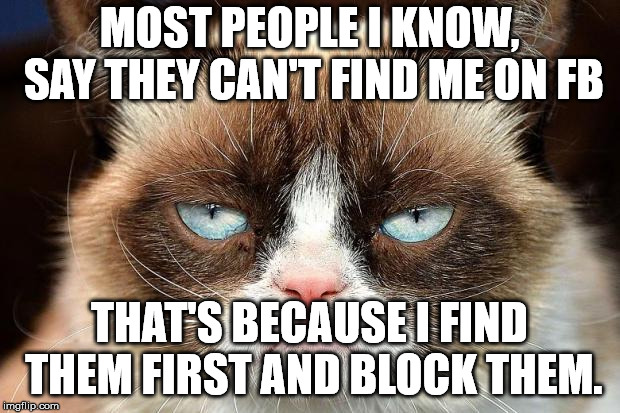 Grumpy Cat Not Amused | MOST PEOPLE I KNOW, SAY THEY CAN'T FIND ME ON FB; THAT'S BECAUSE I FIND THEM FIRST AND BLOCK THEM. | image tagged in memes,grumpy cat not amused,grumpy cat | made w/ Imgflip meme maker