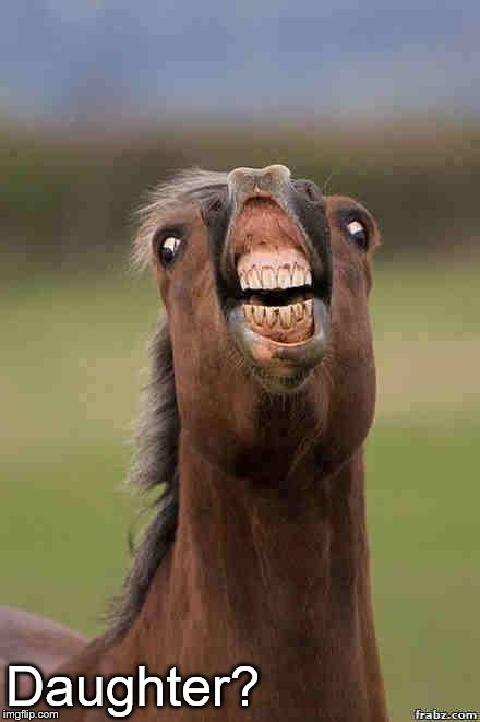 horse face | Daughter? | image tagged in horse face | made w/ Imgflip meme maker