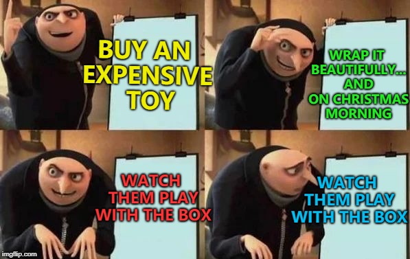 Or just give them bubble wrap... :) | WRAP IT BEAUTIFULLY... AND ON CHRISTMAS MORNING; BUY AN EXPENSIVE  TOY; WATCH THEM PLAY WITH THE BOX; WATCH THEM PLAY WITH THE BOX | image tagged in gru's plan,memes,christmas,toys | made w/ Imgflip meme maker