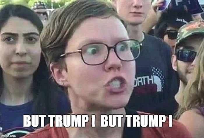 Triggered Liberal | BUT TRUMP !  BUT TRUMP ! | image tagged in triggered liberal | made w/ Imgflip meme maker