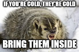 Snow Badger | IF YOU'RE COLD, THEY'RE COLD; BRING THEM INSIDE | image tagged in winter | made w/ Imgflip meme maker