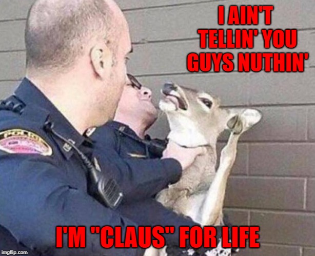 Santa has lots of secrets!!! | I AIN'T TELLIN' YOU GUYS NUTHIN'; I'M "CLAUS" FOR LIFE | image tagged in reindeer shakedown,memes,santa claus,funny,cops,santa's secrets | made w/ Imgflip meme maker