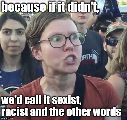 Triggered feminist | because if it didn't, we'd call it sexist, racist and the other words | image tagged in triggered feminist | made w/ Imgflip meme maker