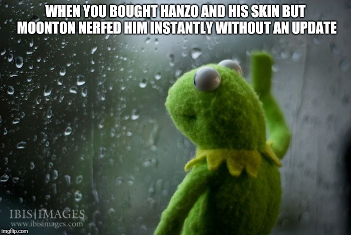 kermit window | WHEN YOU BOUGHT HANZO AND HIS SKIN BUT MOONTON NERFED HIM INSTANTLY WITHOUT AN UPDATE | image tagged in kermit window | made w/ Imgflip meme maker