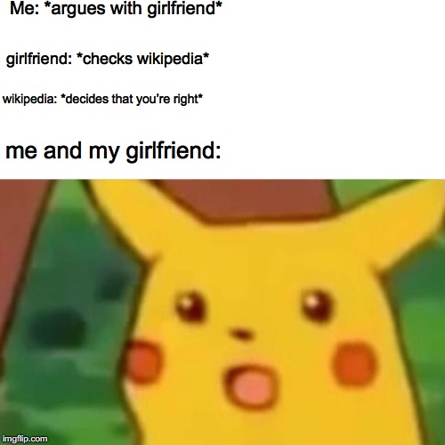 Surprised Pikachu | Me: *argues with girlfriend*; girlfriend: *checks wikipedia*; wikipedia: *decides that you’re right*; me and my girlfriend: | image tagged in memes,surprised pikachu | made w/ Imgflip meme maker