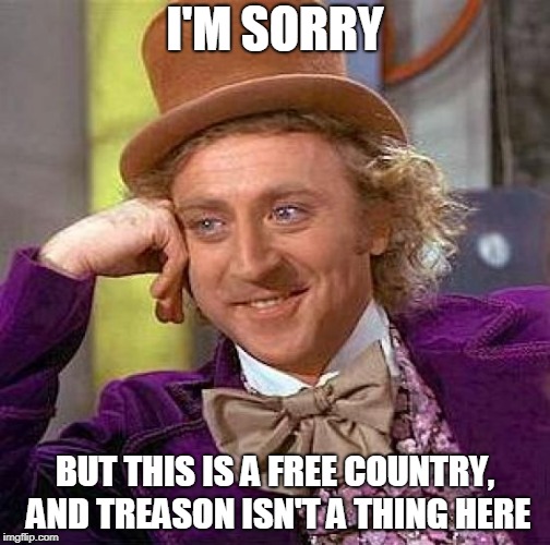 Creepy Condescending Wonka Meme | I'M SORRY; BUT THIS IS A FREE COUNTRY, AND TREASON ISN'T A THING HERE | image tagged in memes,creepy condescending wonka,traitor,traitors,treason,america | made w/ Imgflip meme maker