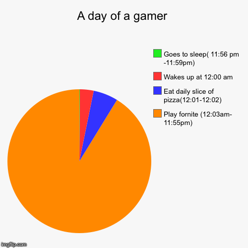 A day of a gamer | Play fornite (12:03am- 11:55pm), Eat daily slice of pizza(12:01-12:02), Wakes up at 12:00 am, Goes to sleep( 11:56 pm -11 | image tagged in funny,pie charts | made w/ Imgflip chart maker