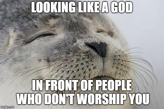 Satisfied Seal Meme | LOOKING LIKE A GOD; IN FRONT OF PEOPLE WHO DON'T WORSHIP YOU | image tagged in memes,satisfied seal | made w/ Imgflip meme maker