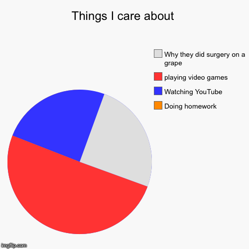 Things I care about | Doing homework, Watching YouTube, playing video games, Why they did surgery on a grape | image tagged in funny,pie charts | made w/ Imgflip chart maker