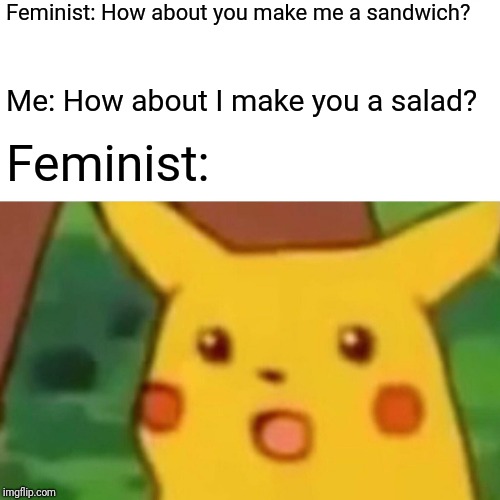 Surprised Pikachu Meme | Feminist: How about you make me a sandwich? Me: How about I make you a salad? Feminist: | image tagged in memes,surprised pikachu | made w/ Imgflip meme maker