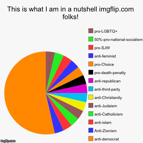 Just to let everyone on this website know what I don’t support and do! And what topics to steer clear from when talking to me. | image tagged in pie charts | made w/ Imgflip meme maker