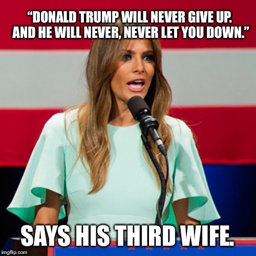 Melania Trump | “DONALD TRUMP WILL NEVER GIVE UP. AND HE WILL NEVER, NEVER LET YOU DOWN.”; SAYS HIS THIRD WIFE. | image tagged in melania trump | made w/ Imgflip meme maker