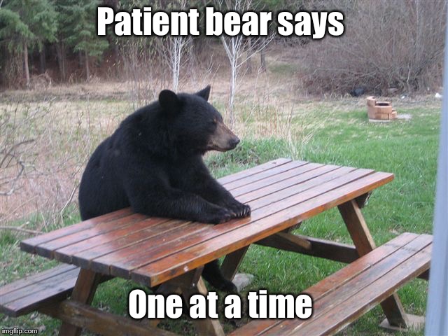 Patient Bear | Patient bear says One at a time | image tagged in patient bear | made w/ Imgflip meme maker
