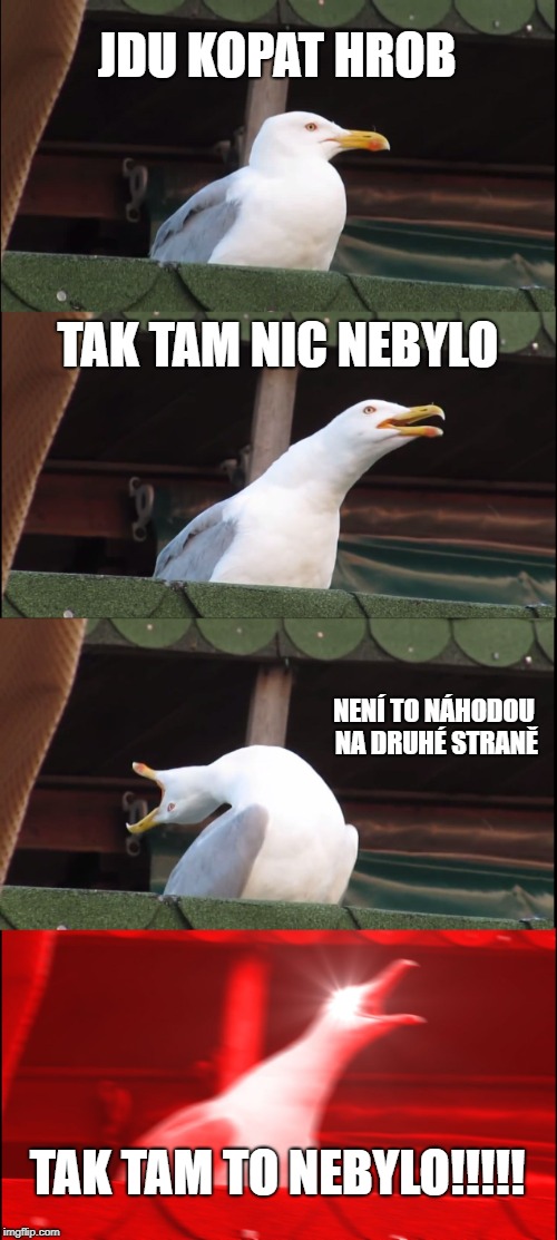 Inhaling Seagull Meme | JDU KOPAT HROB; TAK TAM NIC NEBYLO; NENÍ TO NÁHODOU NA DRUHÉ STRANĚ; TAK TAM TO NEBYLO!!!!! | image tagged in memes,inhaling seagull | made w/ Imgflip meme maker
